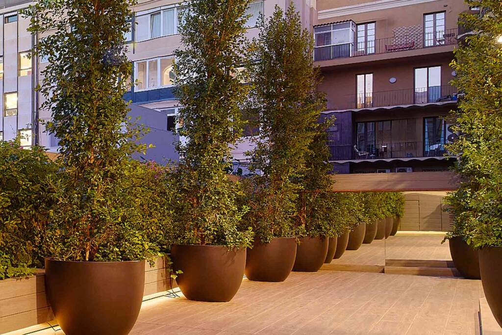 Terraza interior para bodas y firmas en Barcelona de la Notaría Jaime Calvo Francia